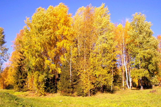 684912 (a): :1920x1280